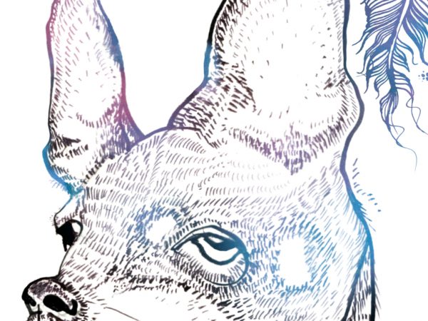 <span>d-dogs740</span><i>→</i>