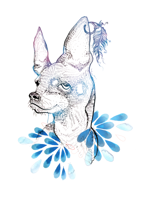 dog illustration