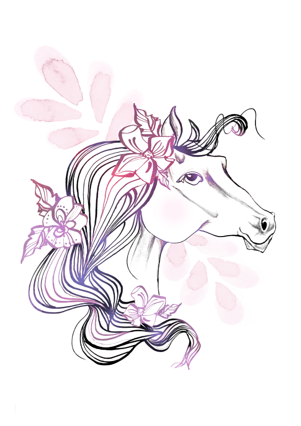 horse illustration
